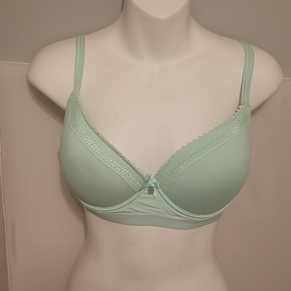 Daisy Fuentes Seafoam Green Bra Size 36D